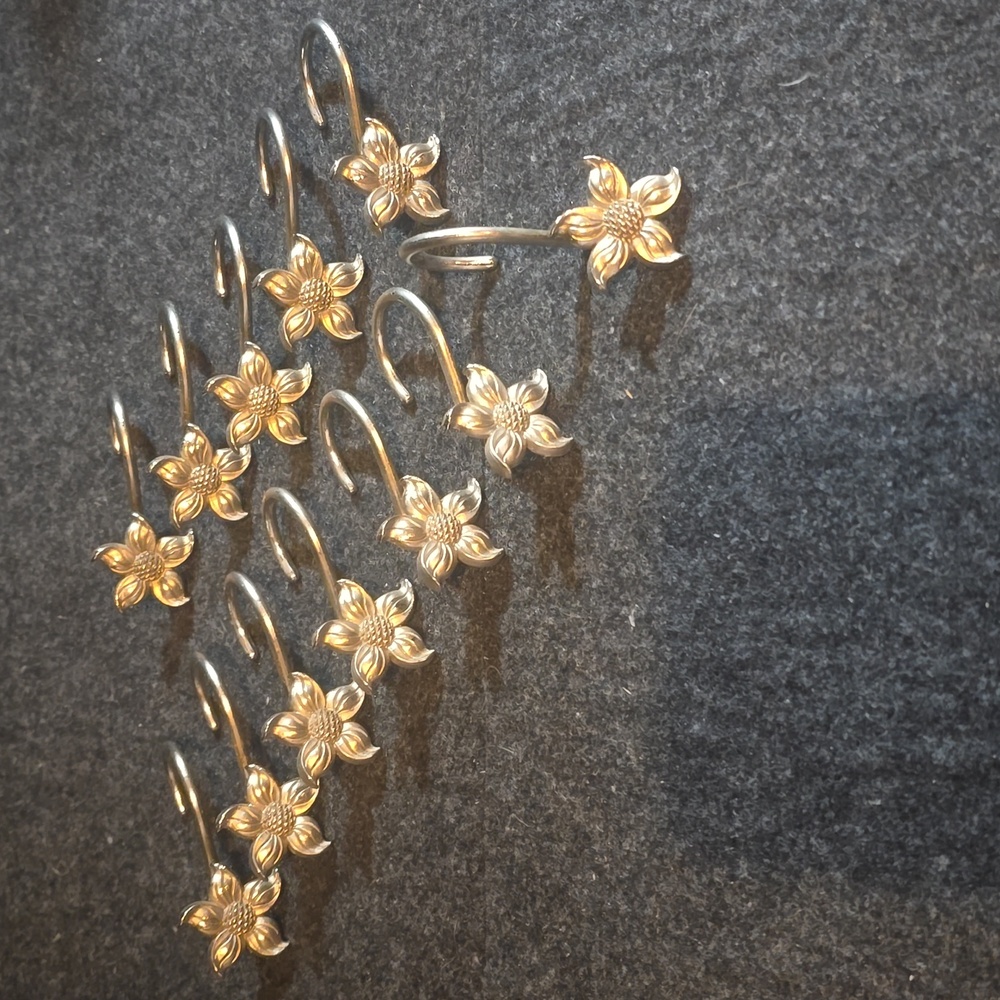12 Shower curtain hooks